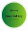 Emerald Key Property Management logo