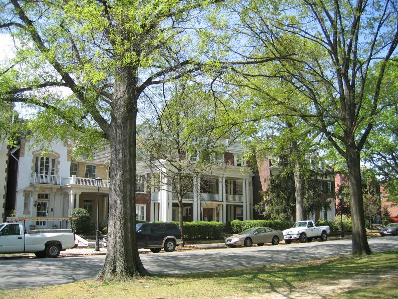 Primary picture of 3009 Monument Ave. Apt. 4